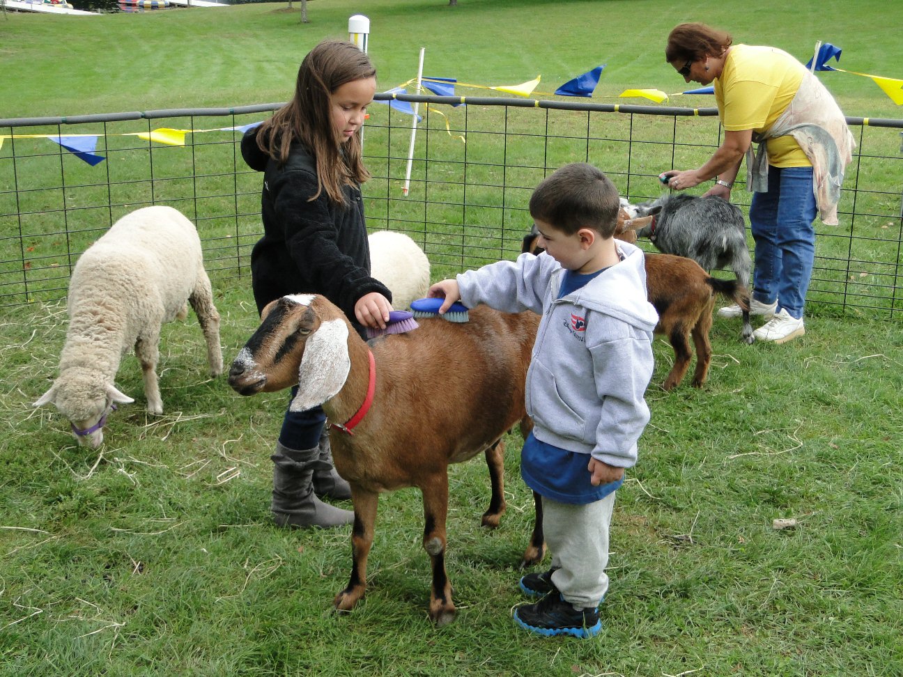 Noah's Ark Petting Zoo